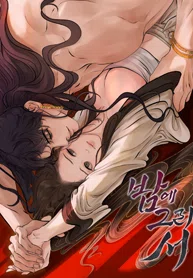 Tracing Night Desires